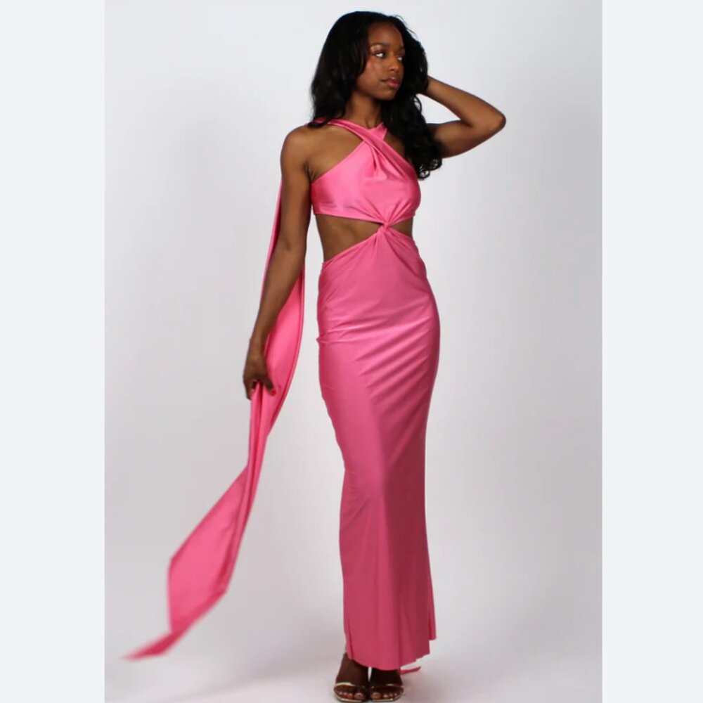 NWT Baobab Ribera Maxi Dress Flamingo